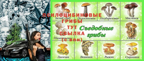 стафф Кукмор