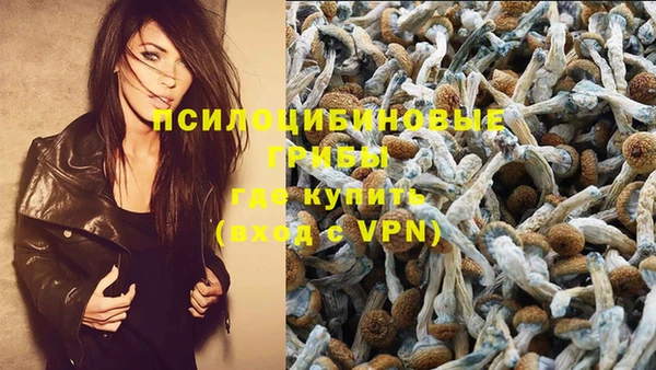 ALPHA-PVP Куйбышев